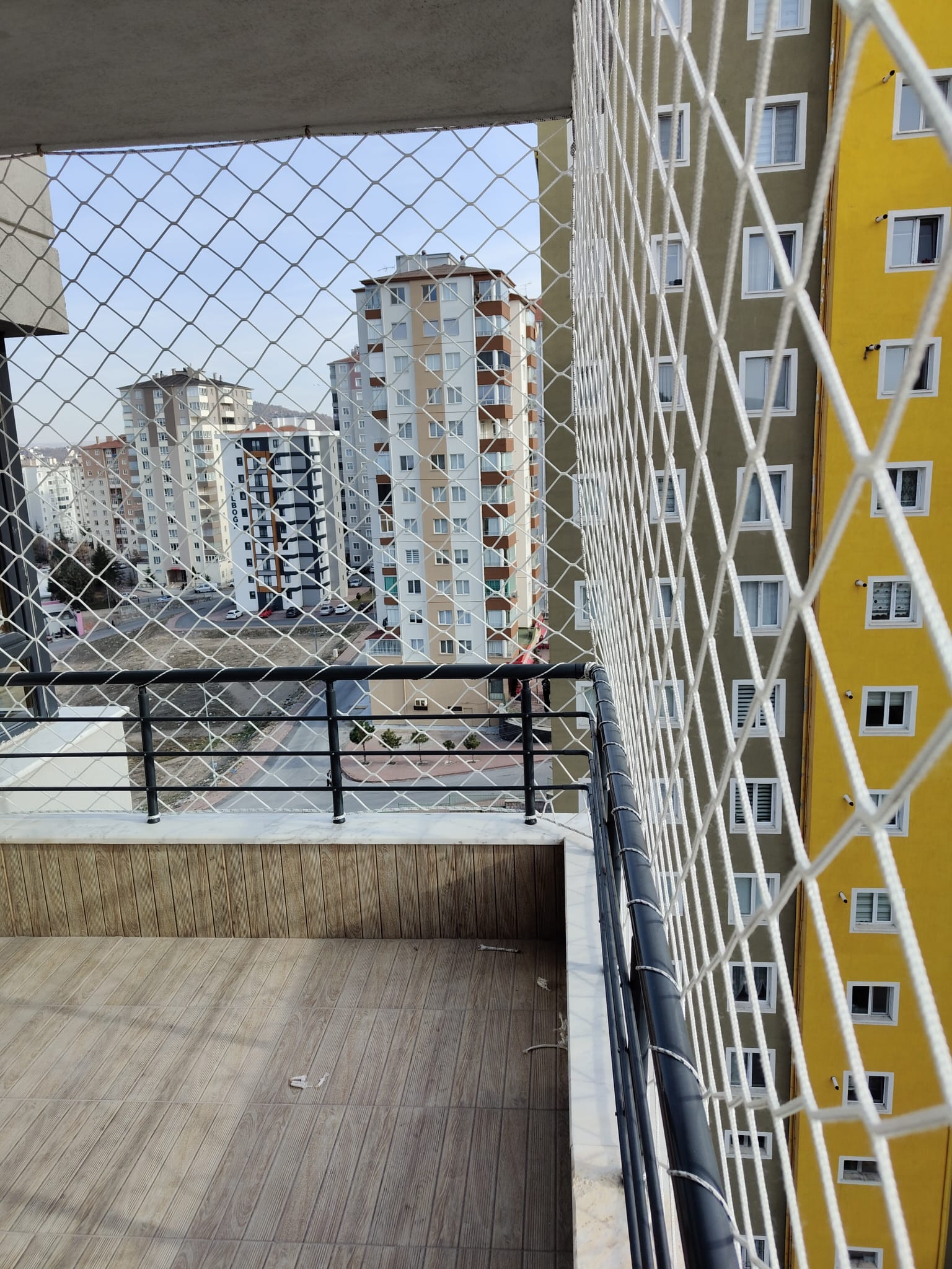 Bingöl Kedi Filesi